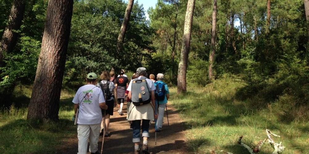 La forêt du Pignada classé ! 