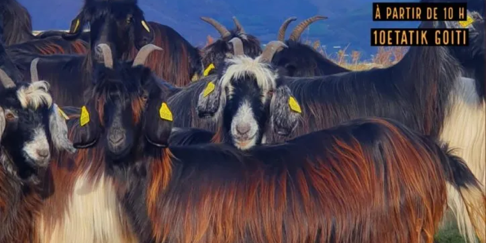 Première édition de la fête de la chèvre des Pyrénées 