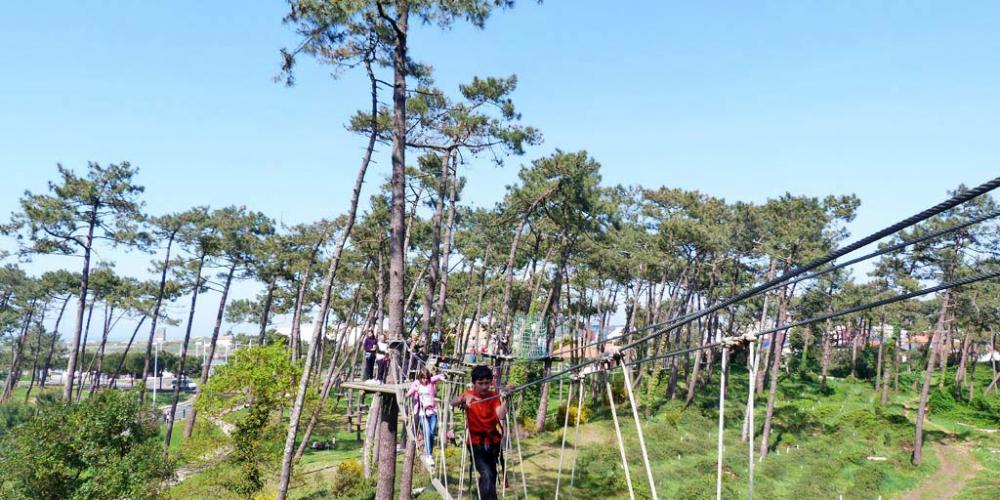 Accrobranche forêt du Pignada