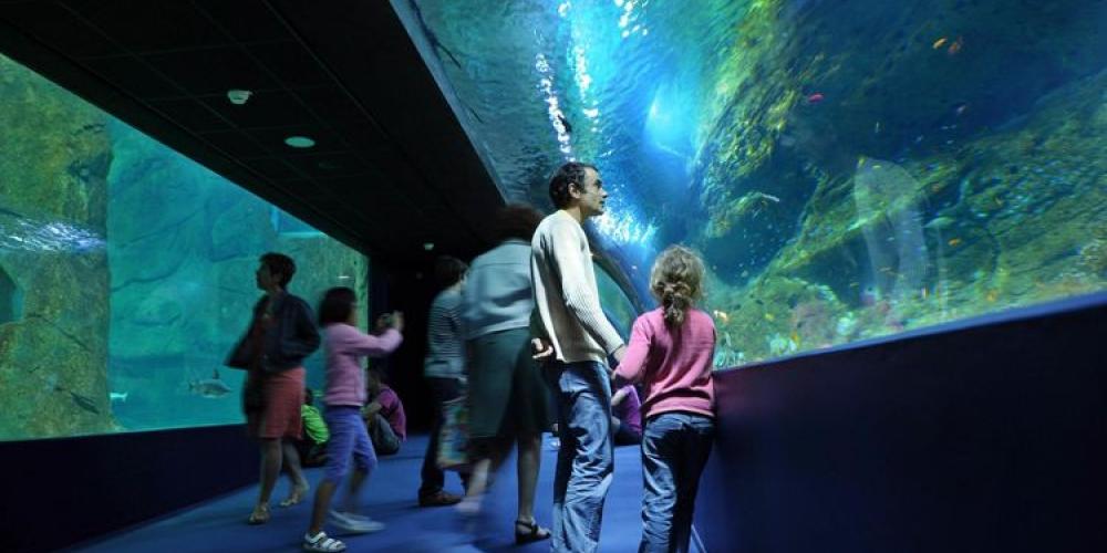Aquarium Biarritz - Scolaire Voyage