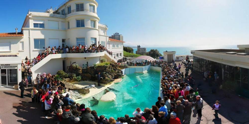 Aquarium Biarritz - Repas des phoques